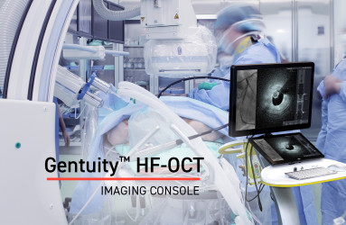 Gentuity HF-OCT FDA 510K