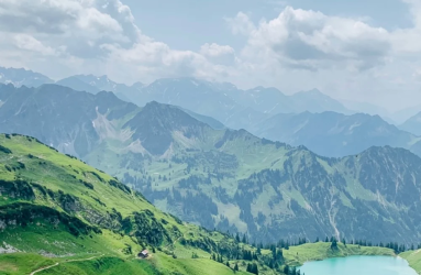 evertreen_Germany